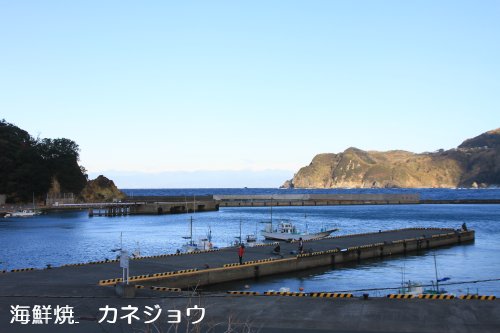 宇久須港の朝１８日