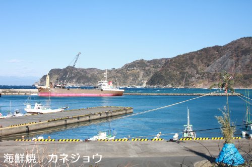 宇久須港の朝５日