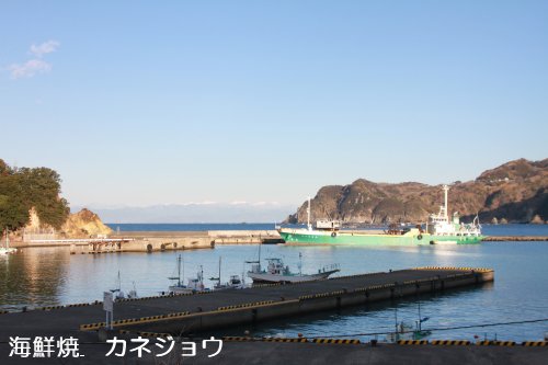 宇久須港の朝３日