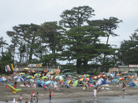 今日の海水浴場（へだ御浜海水浴場）