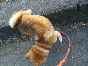 偉かったね。頑張ったね。