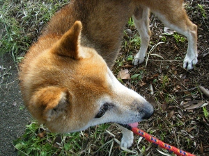 偉かったね。頑張ったね。