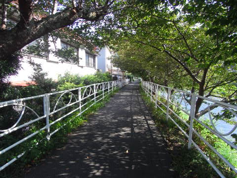 河津町　ノルディックウォーキング　１２ｋｍ