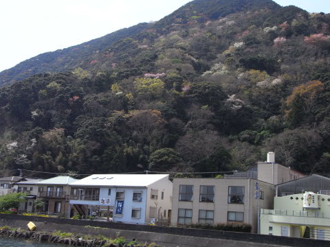 二度目の春！