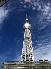 いってきました。
