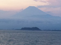 シーパラ