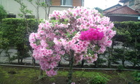 2012年05月05日
