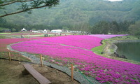 2012年05月11日