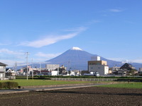 2012年03月18日