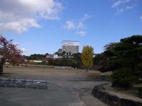 2012年11月25日