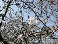 クラフト展を終えて