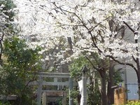 塩釜公園　塩釜神社　（東京港区新橋）　