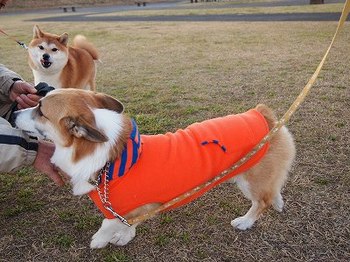 風にもマケズ！！