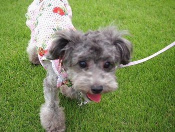 早く行こう～～♪♪