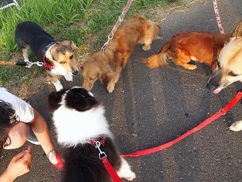広場へお散歩～♪♪