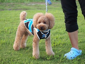 今日もお散歩日和でした～♪♪