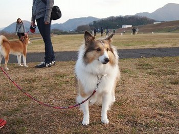 お散歩日和☆みんなでワラワラ♪