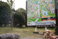園内MAP