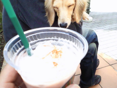 くぅん
