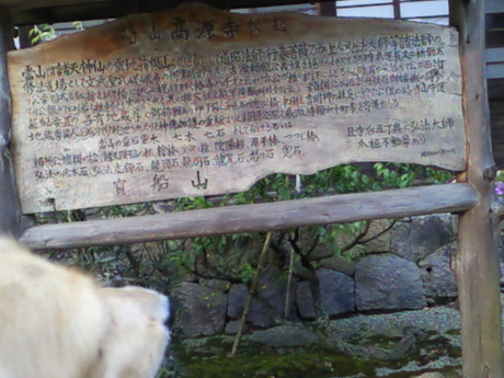 由来