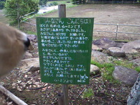 ムーミンについて