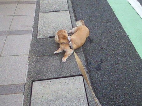 どっかいこうよ～