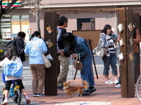 沼津ごきげんパラソル写真集（＾＾）