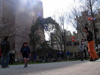 沼津ごきげんパラソル写真集（＾＾）
