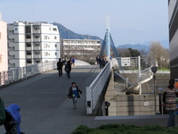 沼津ごきげんパラソル写真集（＾＾）