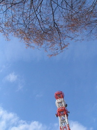 沼津ごきげんパラソル写真集（＾＾）