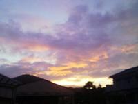 春の夕日・・・