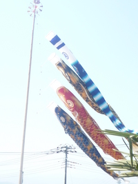 待ちに待った