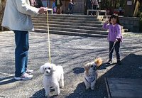 奪取