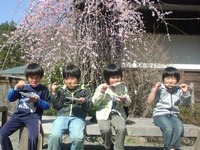しだれ梅よりだんご