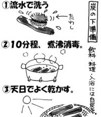 炭のパワ－