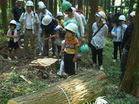 夏休みの最後に「木こりツアー」