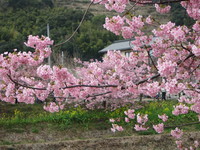 今日からはじめます！