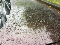 雨が続きますね〜　晴れが待ち遠しいですね〜 2022/05/16 15:46:30