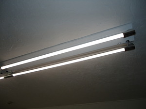 LEDの蛍光灯