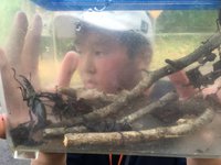 戸田自然体験、山編
