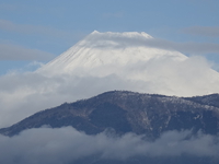 残雪