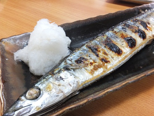 港湾区『ずう』