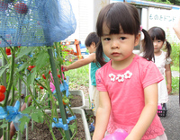 　☀来週の親子教室は・・・プール遊び☀