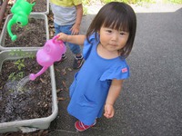 FUN　FUN　English☆