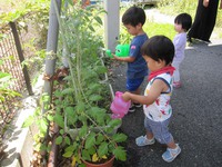 親子教室～英語～