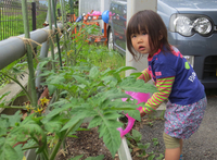 ✿久しぶりのキャンディー✿
