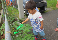✿久しぶりのキャンディー✿