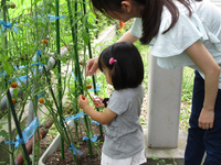 ✿　第1期　1歳児教室　最終日　✿