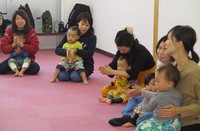 ❁　ハイビスカス70個！　❁