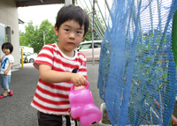 スーパーでもおなじみの　伊豆んこちゃん　　みよびのトマト